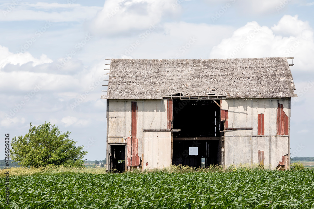 Old Barn by a Corn Field under a Cloudy Sky Old Barn by a Corn Field under a Cloudy Sky