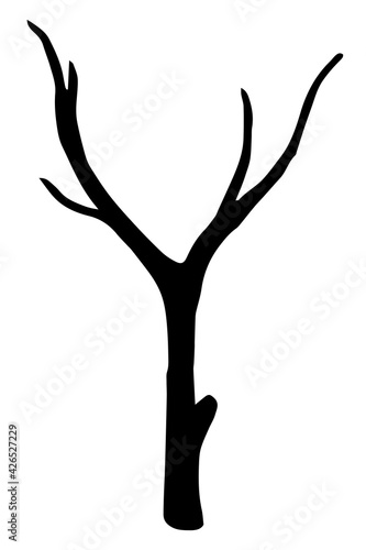 Vector image of a dry tree branch. Isolated illustration on a white background. Black silhouette of a branch  doodle hand drawn illustration