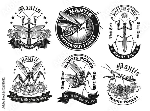 Retro label designs with mantis vector illustration set. Vintage badges with flying predator bug. Insects and fauna concept can be used for retro template, banner or poster