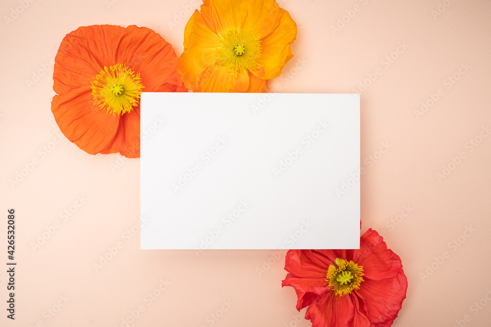 Fresh bold poppies floral flat lay with copy space and blank card