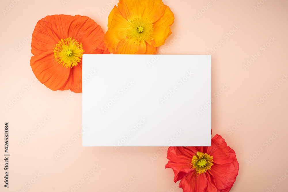 Fresh bold poppies floral flat lay with copy space and blank card Fresh bold poppies floral flat lay with copy space and blank card