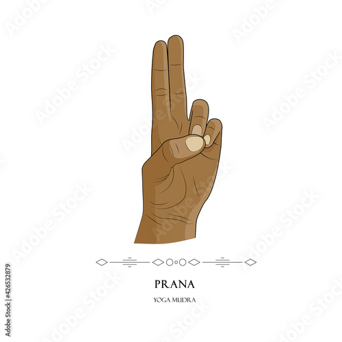 Human hand in Prana yoga mudra  isolated on a white background. Yogic hand gesture.Vector illustration