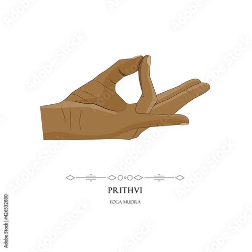 Human hand in Prithvi yoga mudra on a white background. Yogic hand gesture.Vector illustration