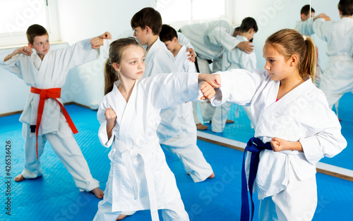 Beautiful children training in pairs to practice new technique at karate class
