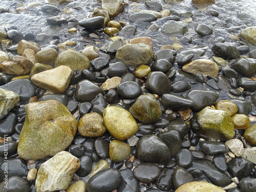 Smooth rocks strewn about the shoreline on a rugged beach. © Neil