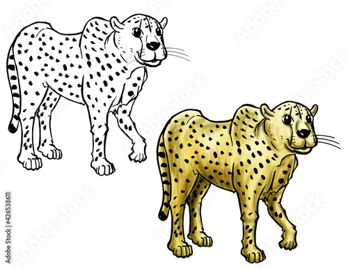 Cheetah cartoon line and color