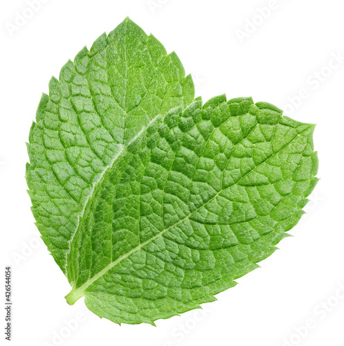 Composition of two fresh mint leaves. Mint leaves isolated on white background. Professional studio macro shooting