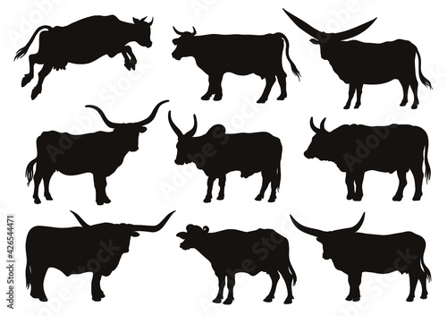 chicken breeding. animal husbandry. livestock. vector sketch on a white background