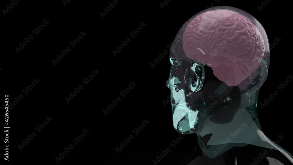 The brain inside crystal head for education or sci content 3d rendering The brain inside crystal head for education or sci content 3d rendering