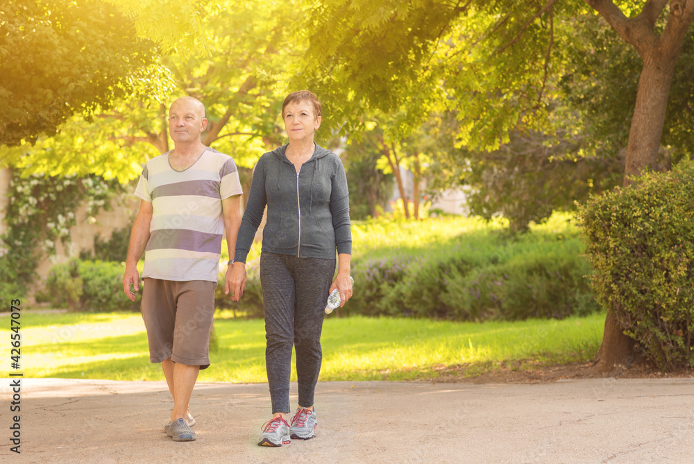 Family, age, sport, healthy and people concept - happy senior couple holding hands in summer park. Active elderly man and woman walking outdoors in summer or autumn park on a sunny day.