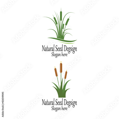 Reeds icon vector design template and symbol