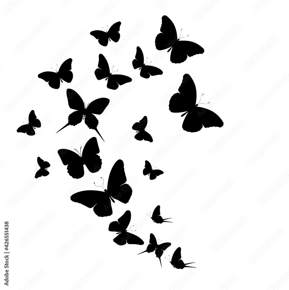 Flock of silhouette black butterflies on white background Flock of silhouette black butterflies on white background