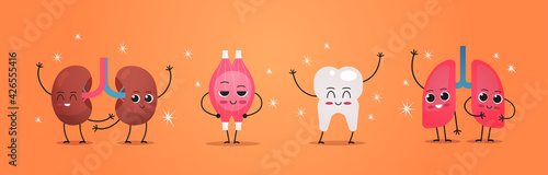 funny anatomical mascot kidneys muscle tooth lungs characters cute human body internal organs anatomy healthcare medical concept horizontal