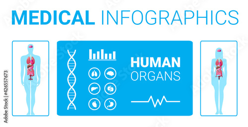 human body structure medical infographic poster with female male internal organs anatomy system board full length horizontal