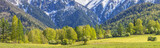 Panoramic view of mountain valley on spring day, snow and green of the forest