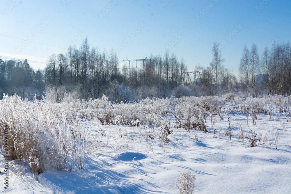 On a frosty, sunny winter morning, the dry grass is covered with frost. On a frosty, sunny winter morning, the dry grass is covered with frost.