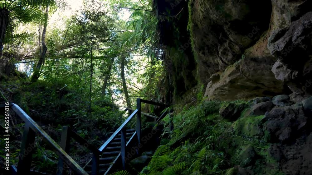 Wide shot of stairs between cliffs and rocks in deep jungle of New Zealand. Green plants and sunlight in backdrop. Bottom up. Wide shot of stairs between cliffs and rocks in deep jungle of New Zealand. Green plants and sunlight in backdrop. Bottom up.