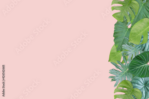 Tropical leaves on pink background. Flat lay, top view