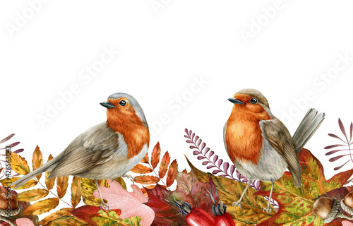 Autumn leaf and robin birds seamless border. Watercolor illustration. Red, orange fallen leaves endless ornament. Backyard robin birds. Bright fall foliage elements seamless border. White background