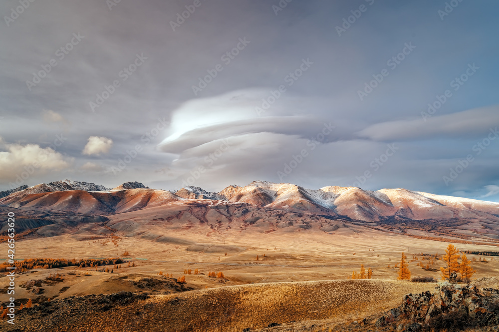 A mountain ridge in snow and above it a large lenticular cloud in autumn and a few main trees in the Altai mountains Kuraiskaya steppe