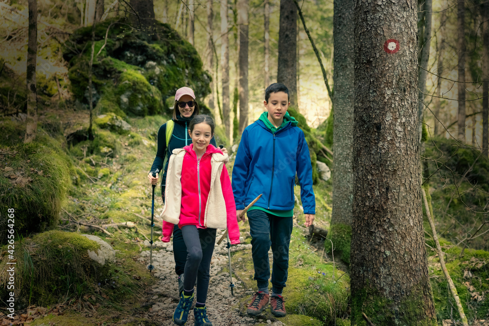 Mother with daughter and son, hiking in the forest. Marked trail with blazers. Mother with daughter and son, hiking in the forest. Marked trail with blazers.