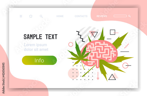 human brain with cannabis leaves marijuana legalization drugs consumption addiction concept horizontal copy space