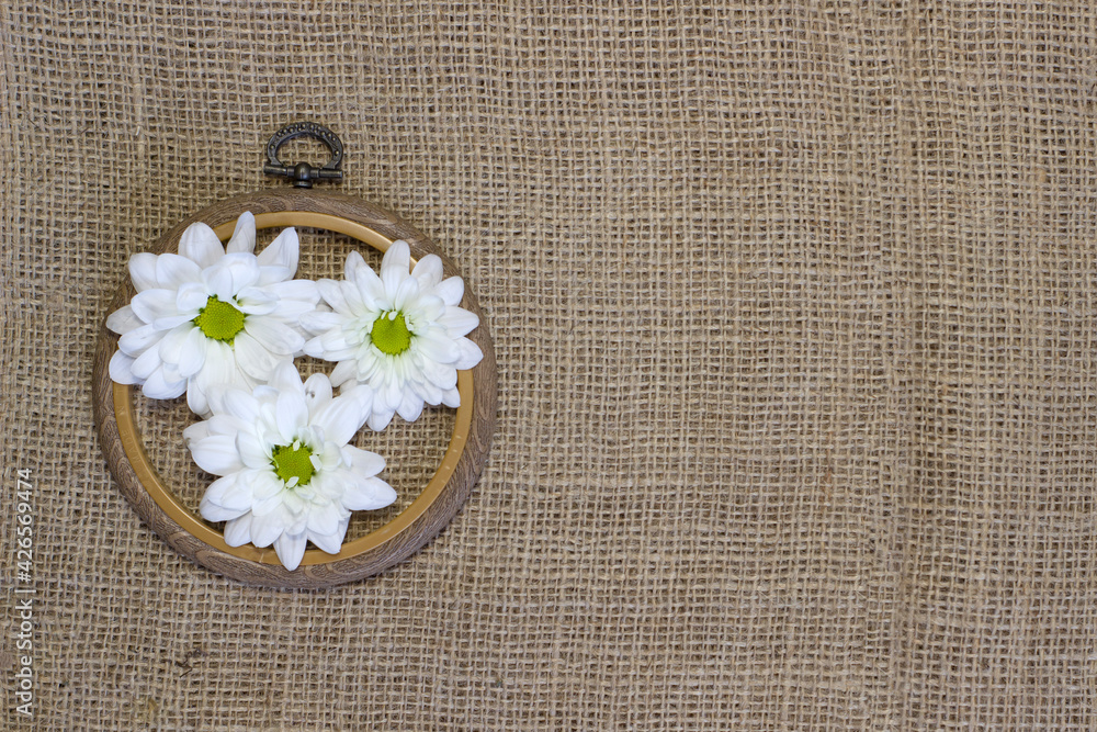 Small cute white daisy in wooden textured frame on brown rough linen background close up Small cute white daisy in wooden textured frame on brown rough linen background close up