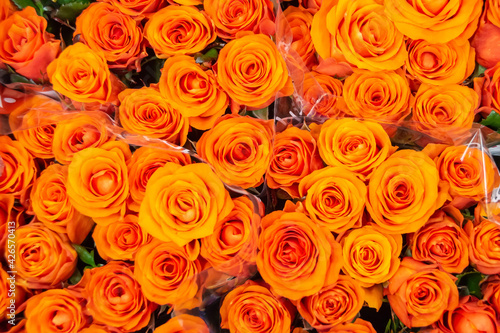 Fototapeta Naklejka Na Ścianę i Meble -  Beautiful rose petals. Orange roses. Bright bouquet of roses.
