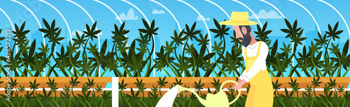 man farmer watering cannabis industrial hemp plantation growing marijuana plant drug consumption agribusiness concept horizontal portrait