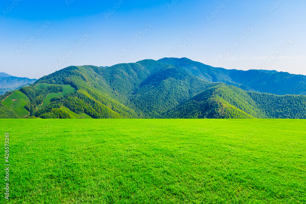 Green grass and mountain in spring season.