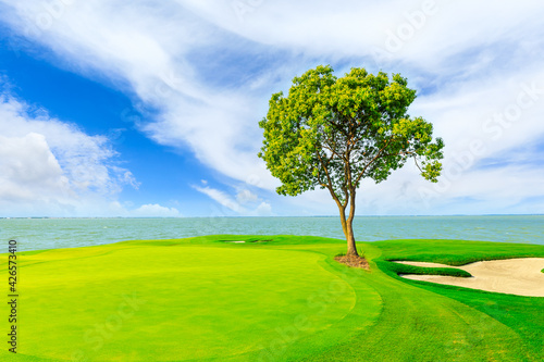 Green grass and tree with river in spring season.