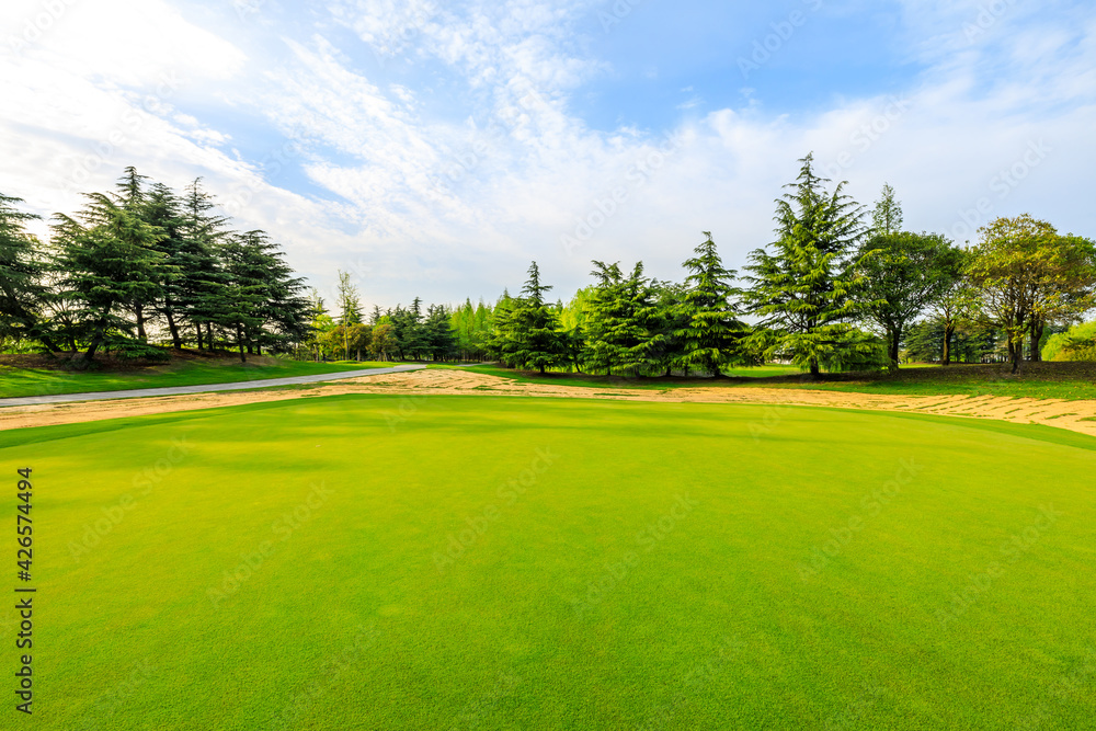 Green grass and forest in spring season.