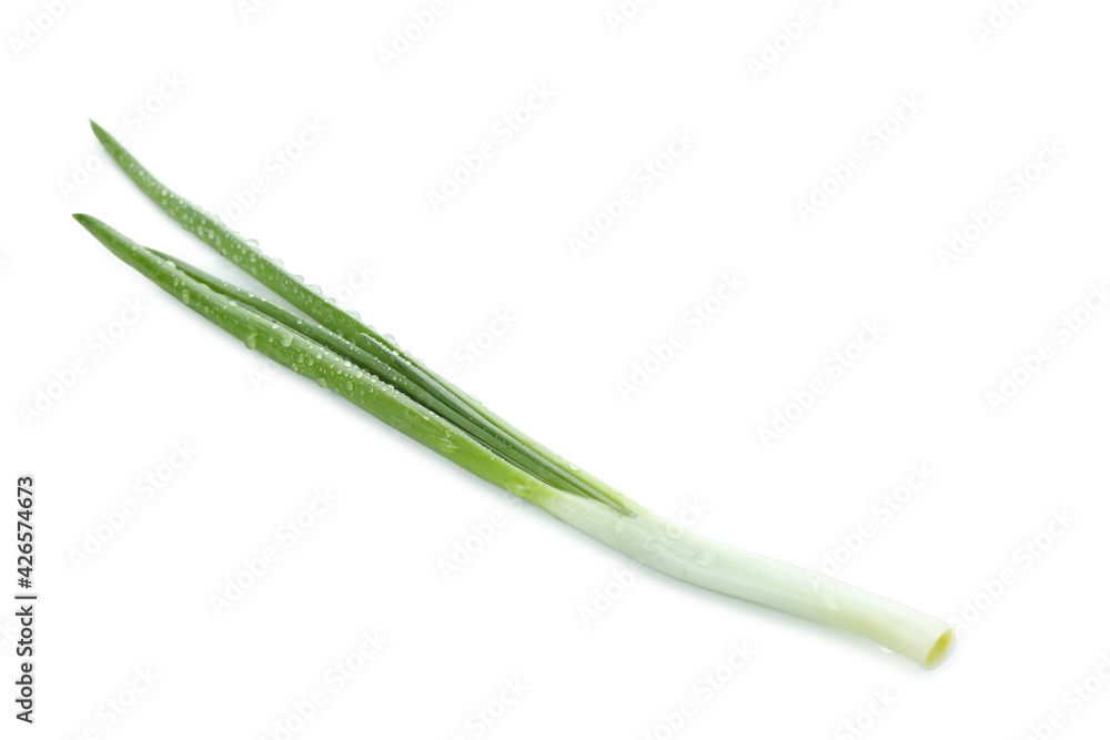 Fresh green onion isolated on white background Fresh green onion isolated on white background