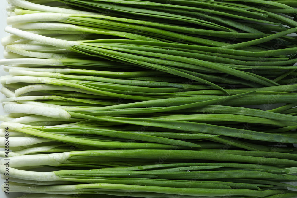 Fresh green onion on whole background, close up Fresh green onion on whole background, close up
