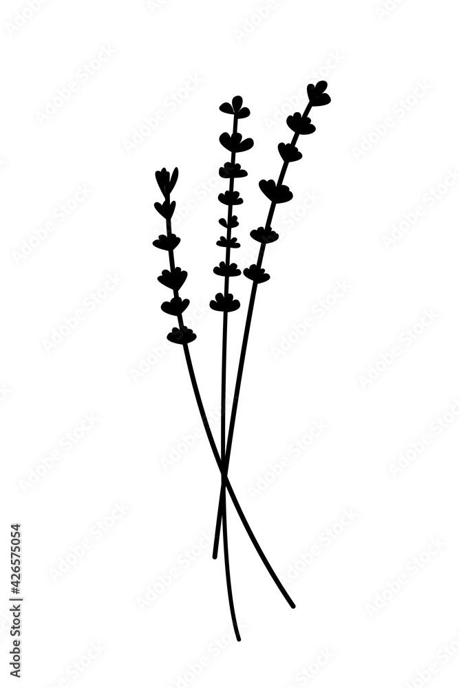 Silhouette of a sprig of lavender on a white background Silhouette of a sprig of lavender on a white background