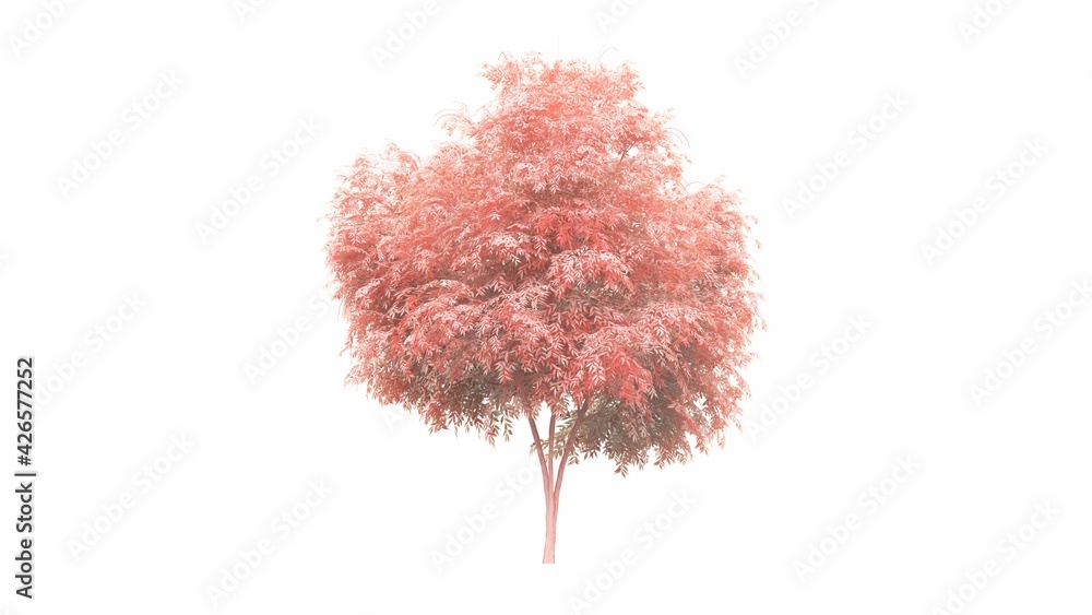 Naklejka premium an artistic tree