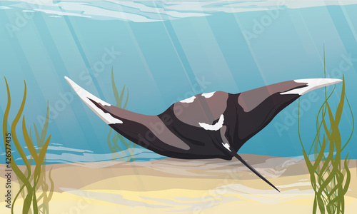 Giant oceanic manta ray floats in the water. Manta rays Mobula birostris in at the bottom of the sea with algae and stones. Realistic vector seascape