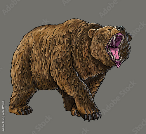 Grizzly bear  Cave bear illustration. Bear attack drawing. 