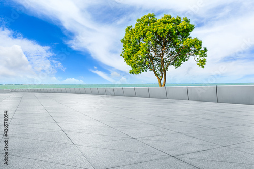Empty square floor and green tree with lake landscape under the blue sky.
