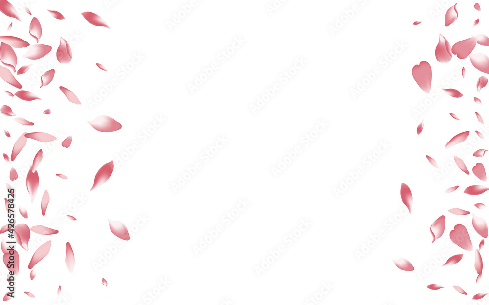 Pastel Cherry Petal Vector White Background. Pink