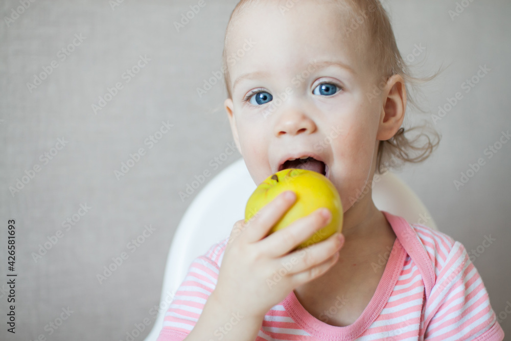 A little girl tastes, examines and plays with fresh apples with pleasure and interest. High quality photo A little girl tastes, examines and plays with fresh apples with pleasure and interest. High quality photo