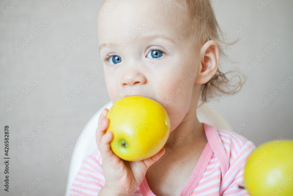 A little girl tastes, examines and plays with fresh apples with pleasure and interest. High quality photo A little girl tastes, examines and plays with fresh apples with pleasure and interest. High quality photo