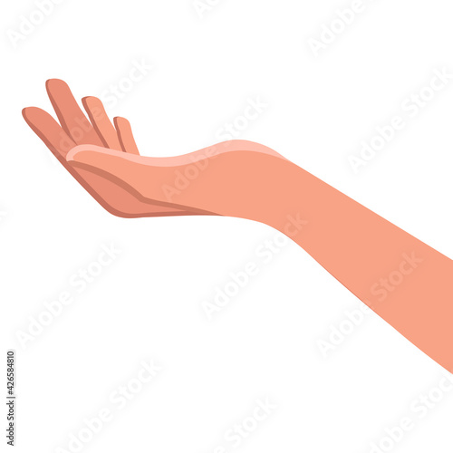 Female hands gesture hand sign vector illustration of a hand in an open gesture
