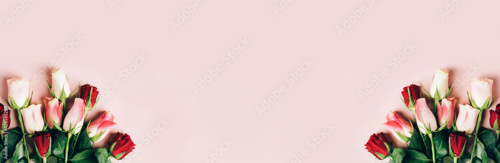 Fototapeta premium Beautiful fresh roses close-up on a pastel pink background. natural background