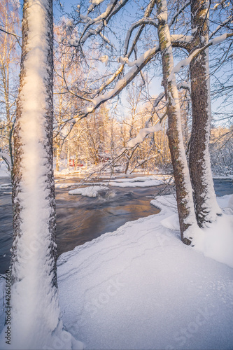 Scenic winter landscape with flowing river and morning light in Finland. Snowy trees. © Jani Riekkinen