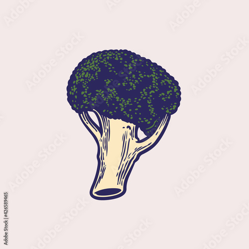 Hand drawing sketch of broc...