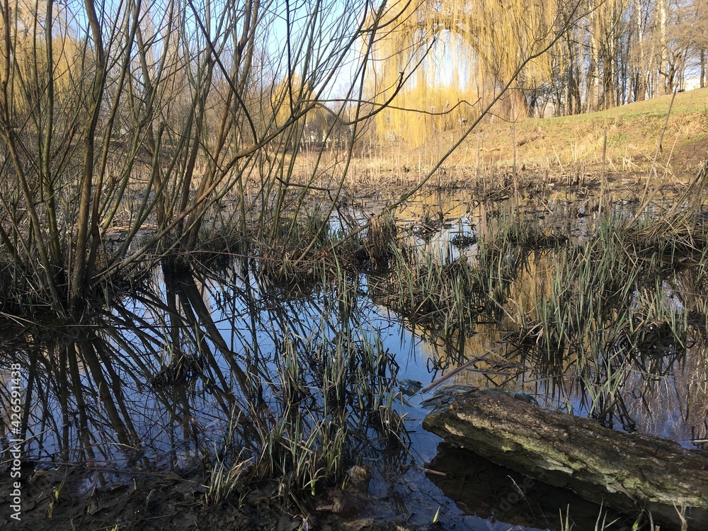 in the water in the water