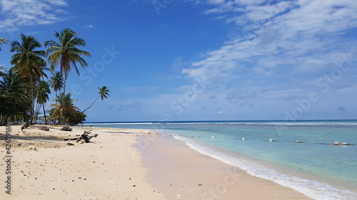 white sand beach with palm trees and turquoise water in Tobago