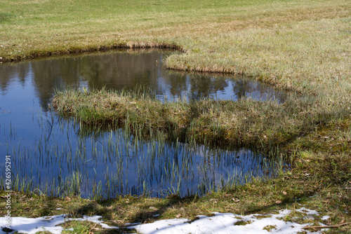 Little pond at turf landscape with reflections of sky and trees. Photo taken April 8th, 2021, Hinwil, Switzerland.