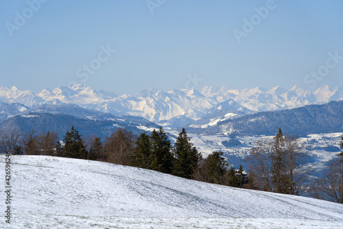 Panoramic landscape with snow capped Swiss alps in the background. Photo taken April 8th  2021  Zurich  Switzerland.